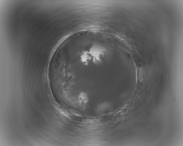 X0000069360147200605150925