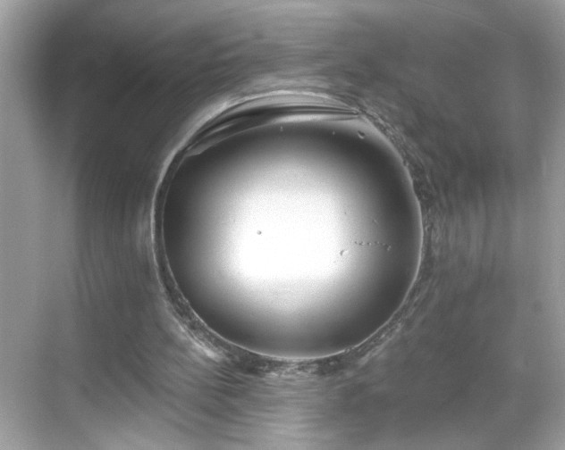 X0000069360148200605150925