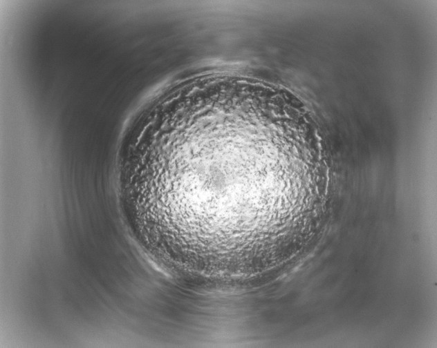 X0000069360149200605150925