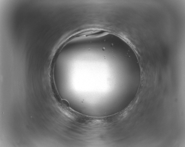 X0000069360151200605150925