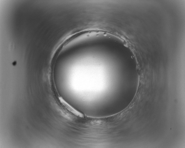 X0000069360152200605150925