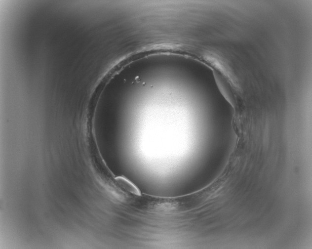 X0000069360156200605150925