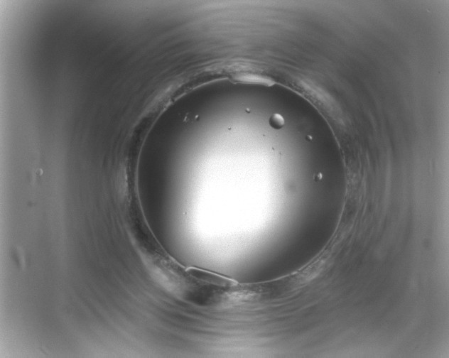 X0000069360158200605150925