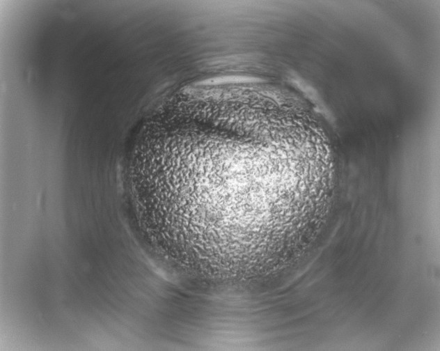 X0000069360161200605150925