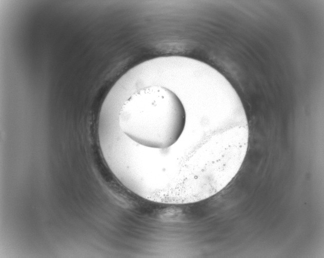 X0000069360162200605150925