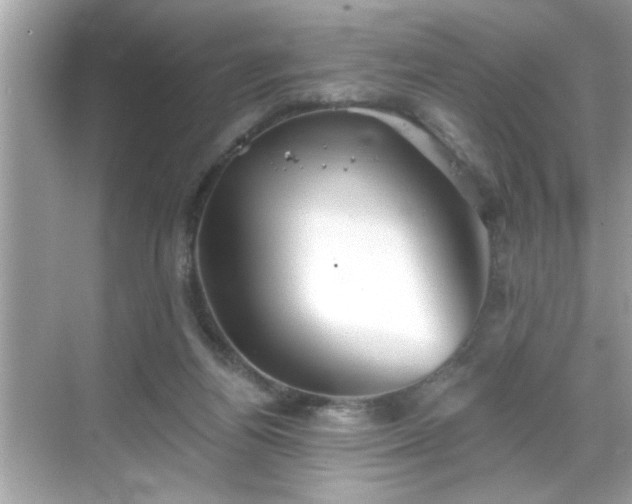 X0000069360164200605150925