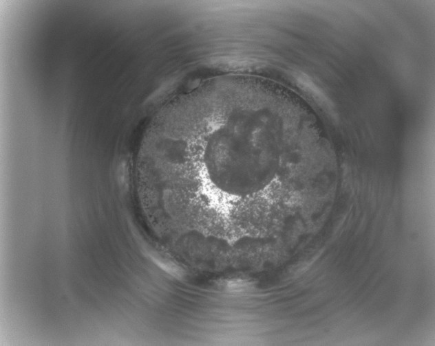 X0000069360165200605150925