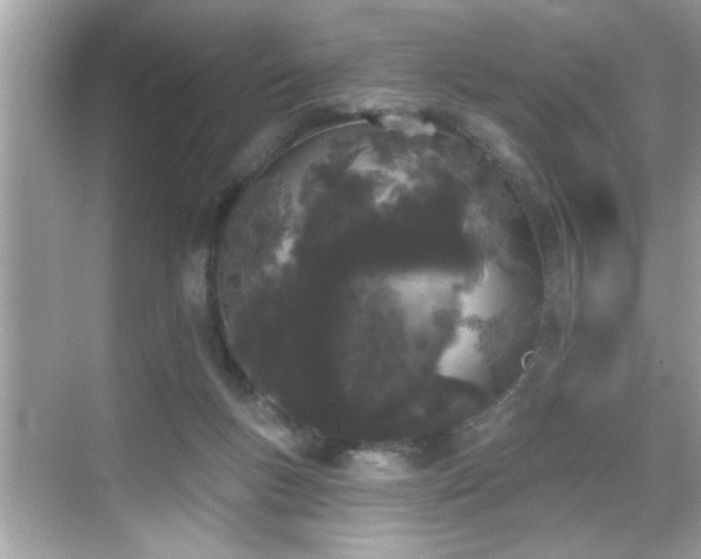 X0000069360167200605150926