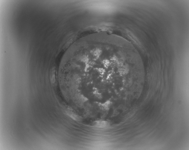 X0000069360169200605150926