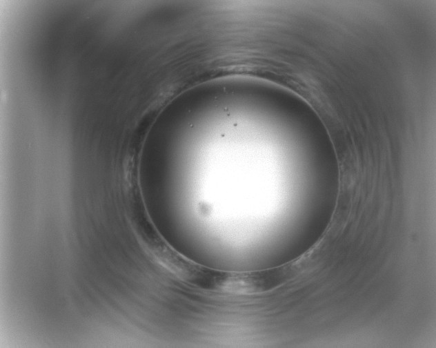 X0000069360171200605150926