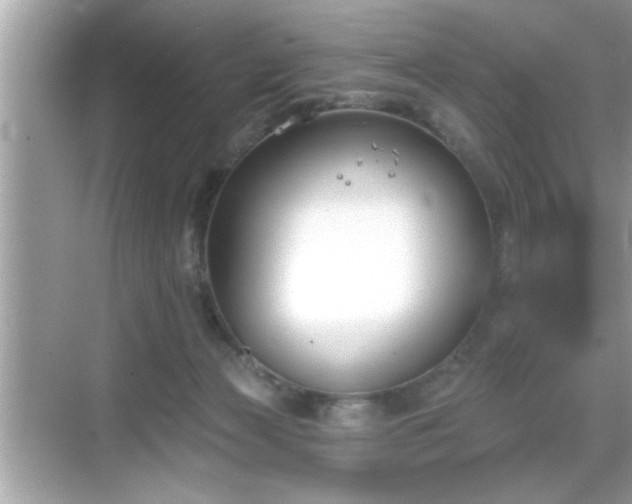 X0000069360173200605150926