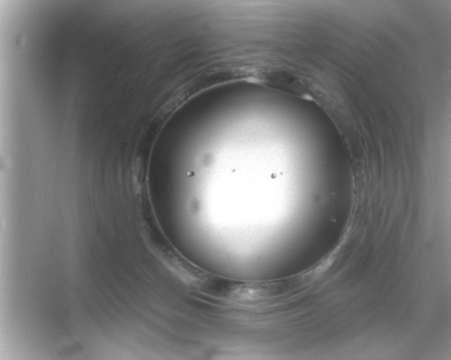 X0000069360174200605150926