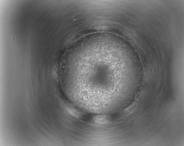 X0000069360175200605150926