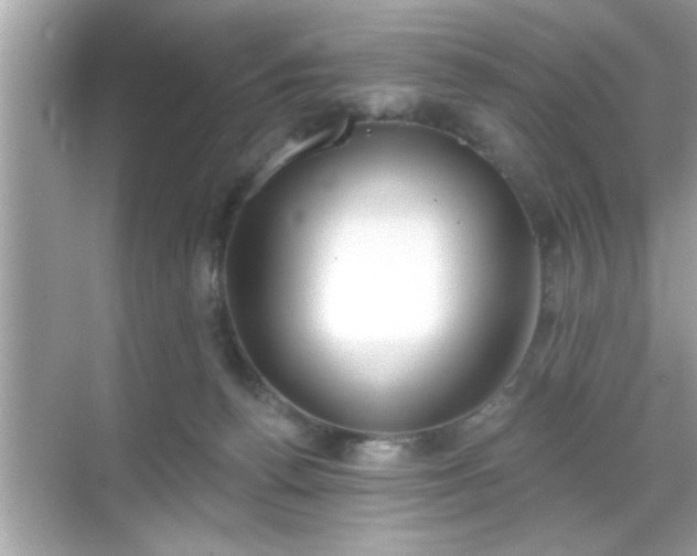 X0000069360176200605150926