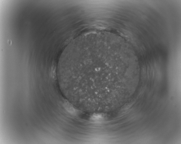 X0000069360177200605150926