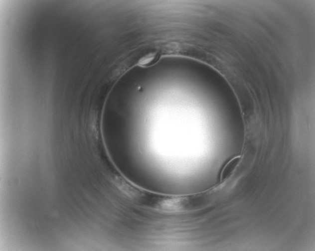 X0000069360178200605150926