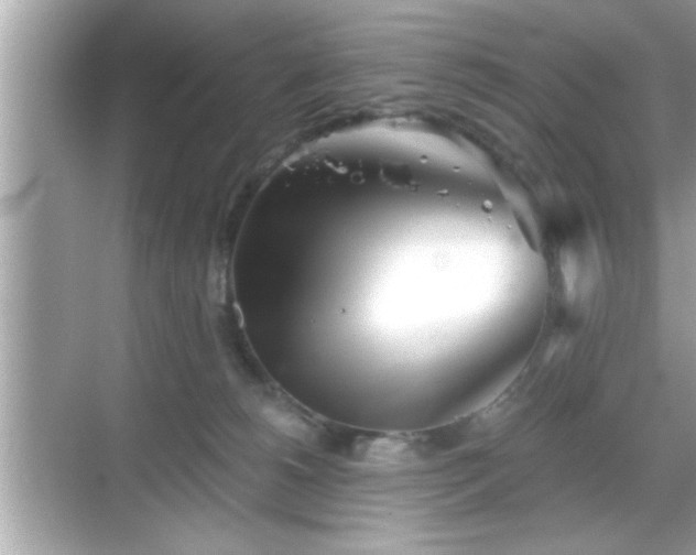 X0000069360180200605150926