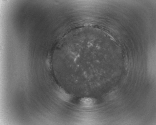 X0000069360181200605150926