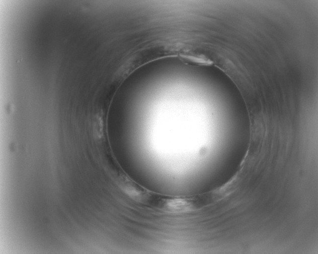 X0000069360183200605150926