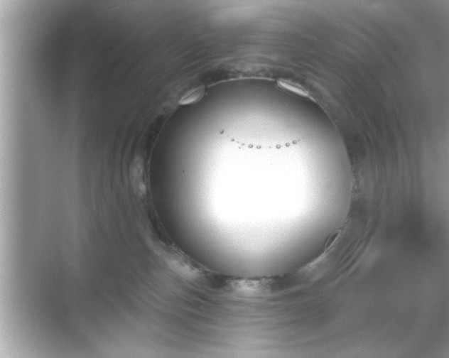 X0000069360187200605150926