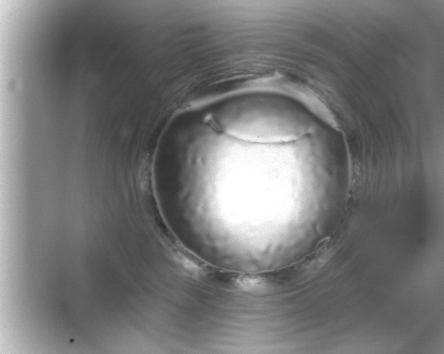 X0000069360189200605150926