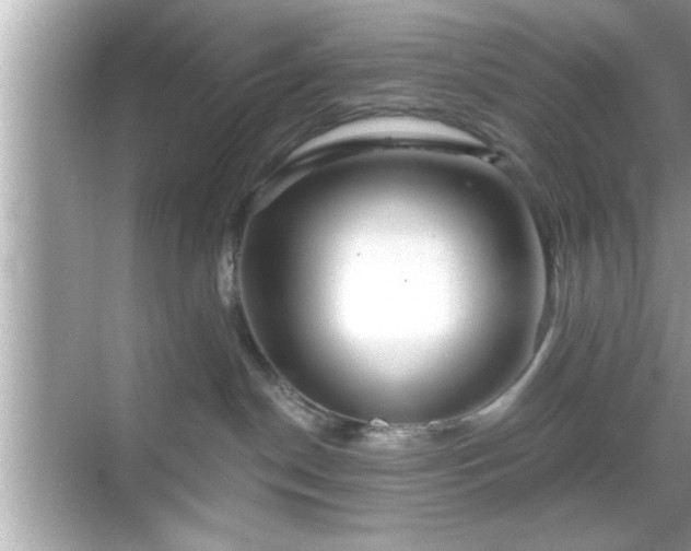 X0000069360190200605150926