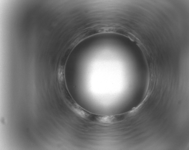 X0000069360191200605150926