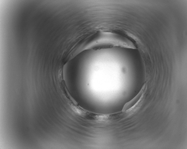 X0000069360192200605150926