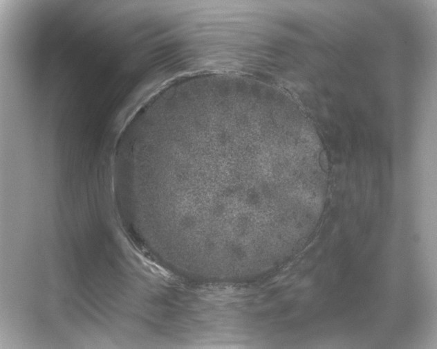 X0000069360194200605150925