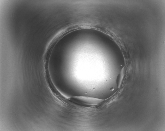 X0000069360197200605150925