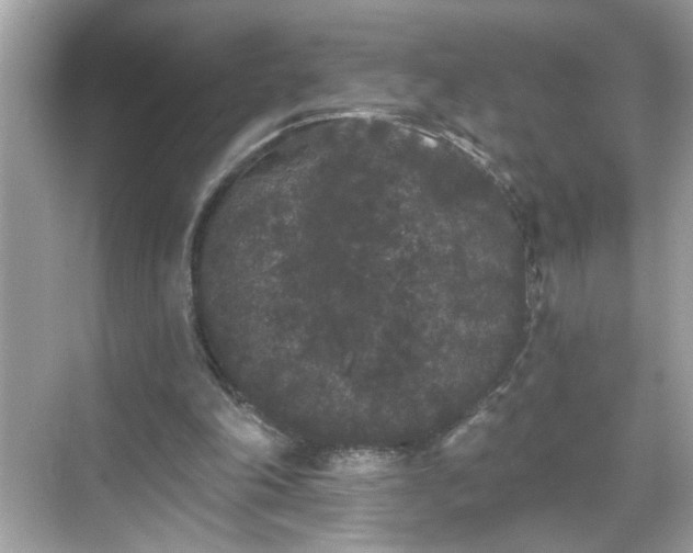 X0000069360198200605150925