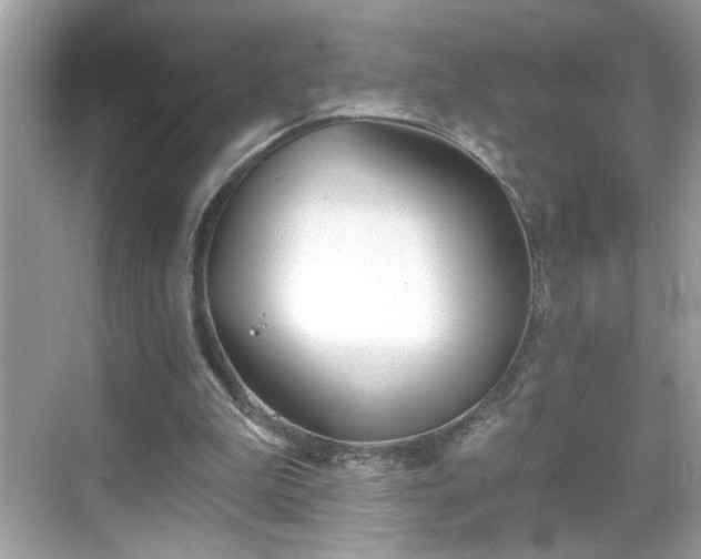 X0000069360199200605150925