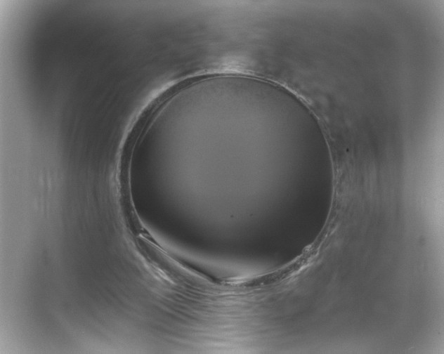 X0000069360200200605150925