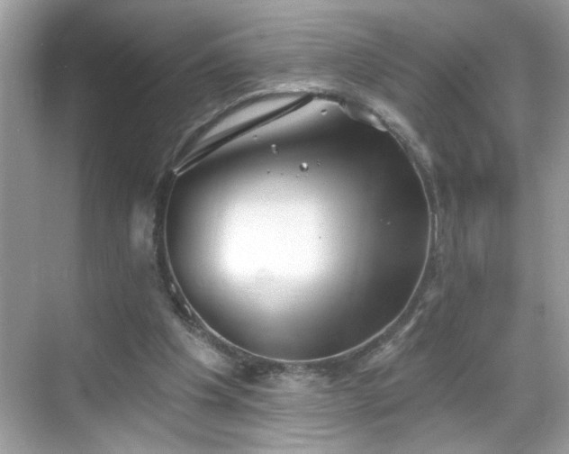 X0000069360201200605150925