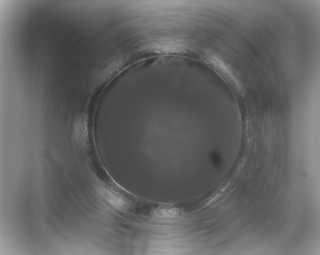 X0000069360202200605150925