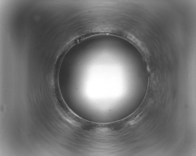 X0000069360203200605150925