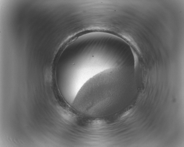 X0000069360204200605150925