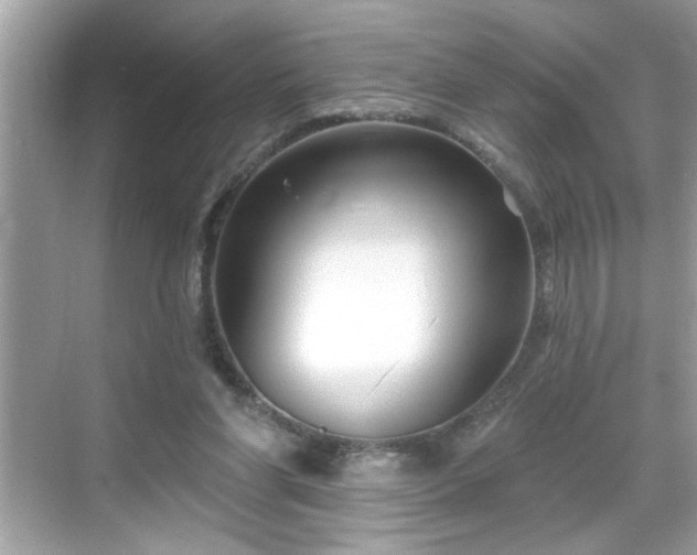 X0000069360206200605150925