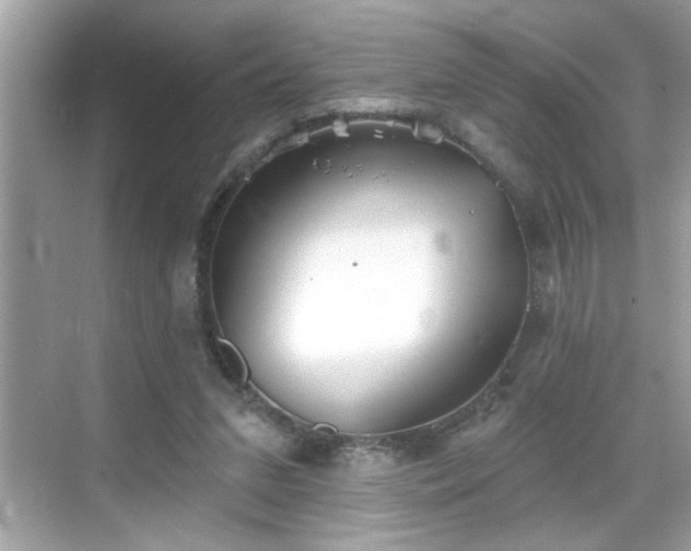 X0000069360207200605150925