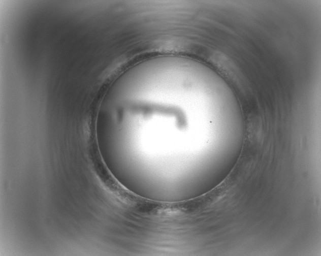 X0000069360208200605150925