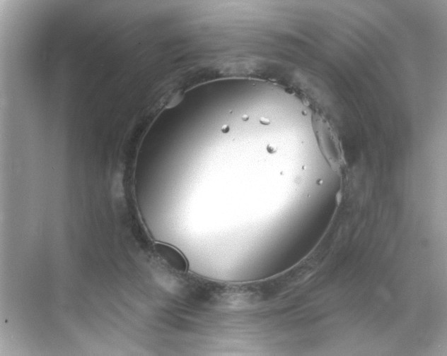 X0000069360209200605150925