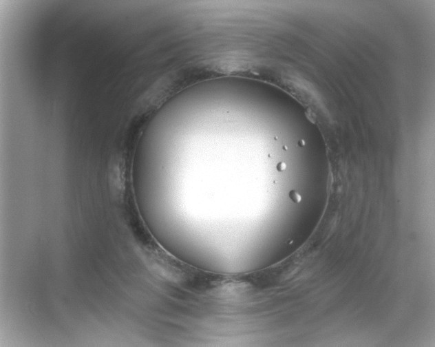 X0000069360210200605150925