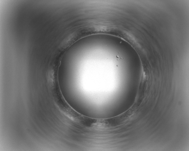 X0000069360211200605150925