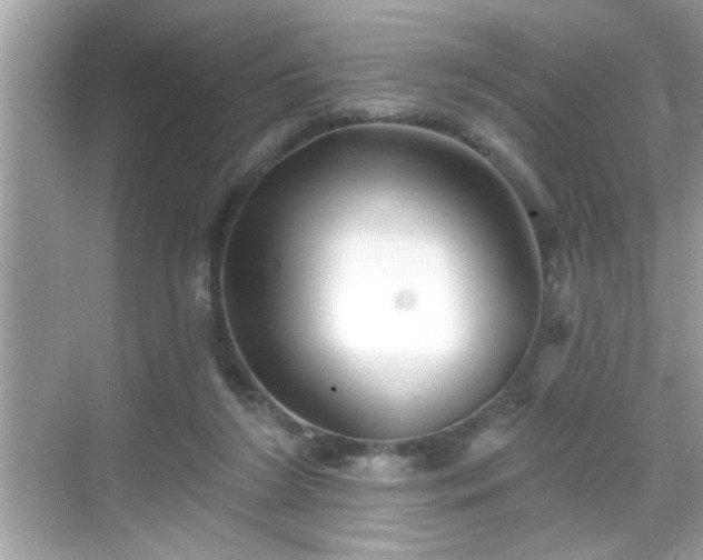 X0000069360212200605150925