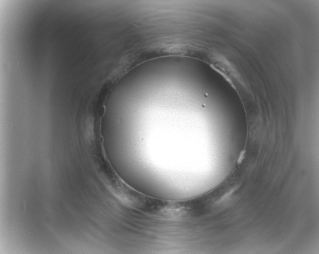 X0000069360213200605150925