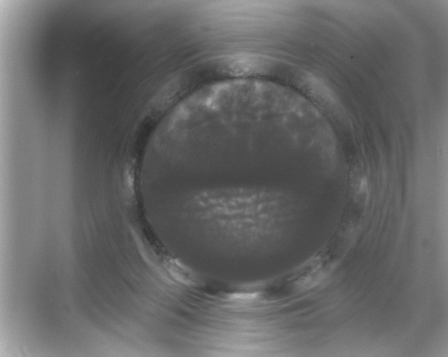 X0000069360214200605150925