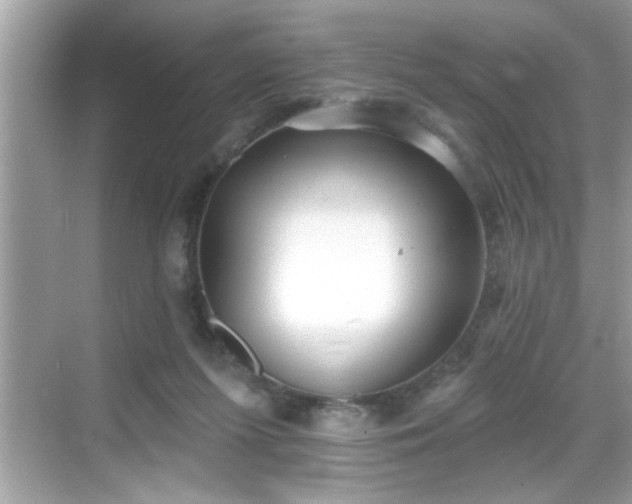 X0000069360215200605150925