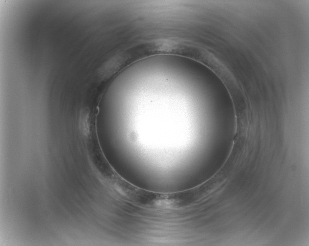 X0000069360216200605150925