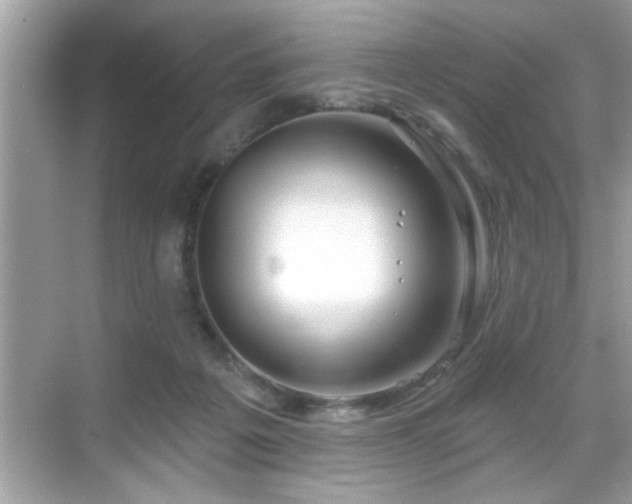 X0000069360217200605150925