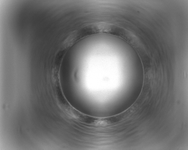 X0000069360218200605150925